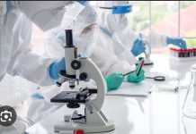 Estudio dice que vitamina C es un combustible de las células cancerígenas